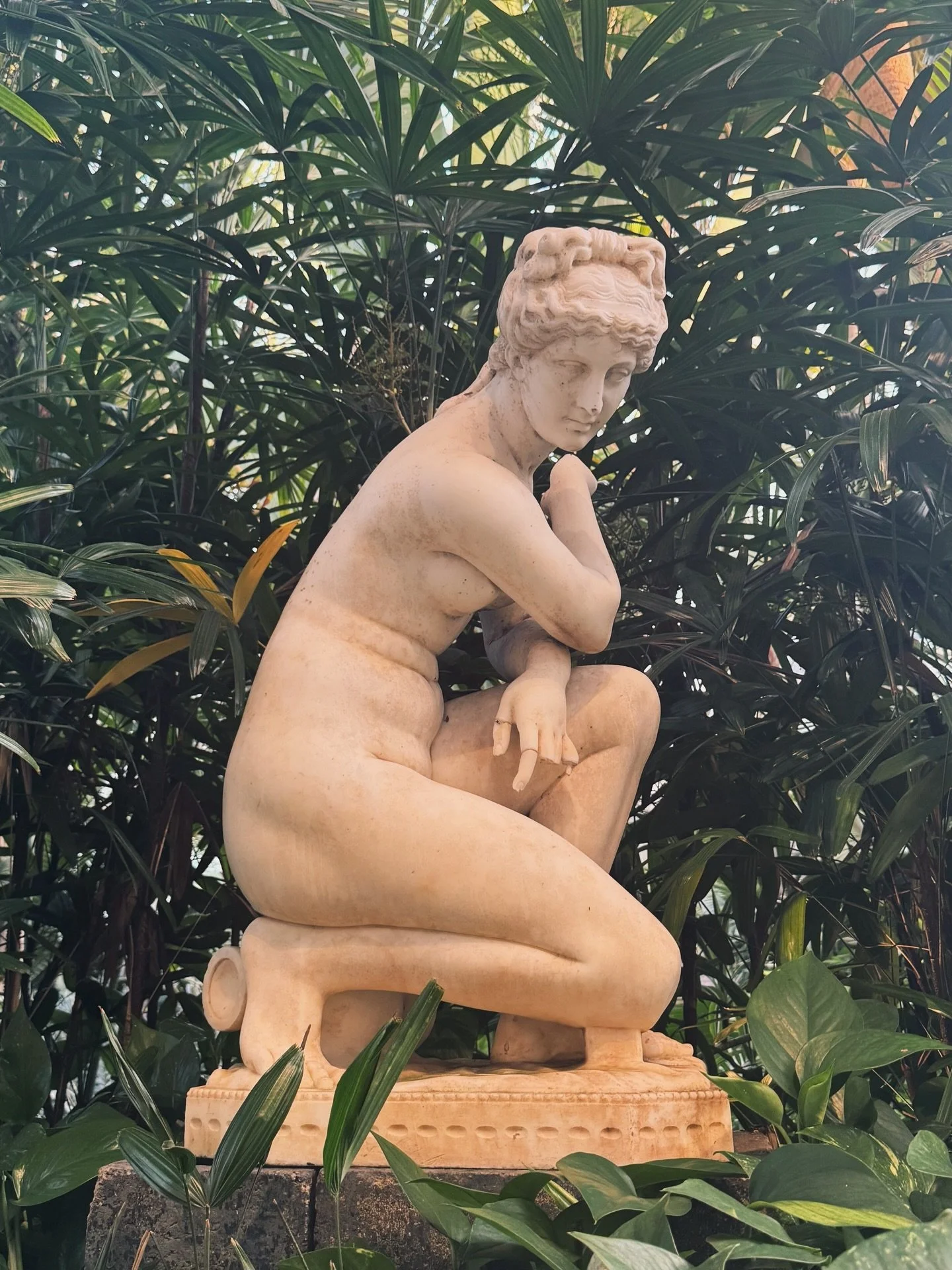 🌿
Held in glass and green. Where the body meets the wild ancient, tender.

The next painting reveals itself. 🌿

Phipps Conservatory and Botanical Gardens