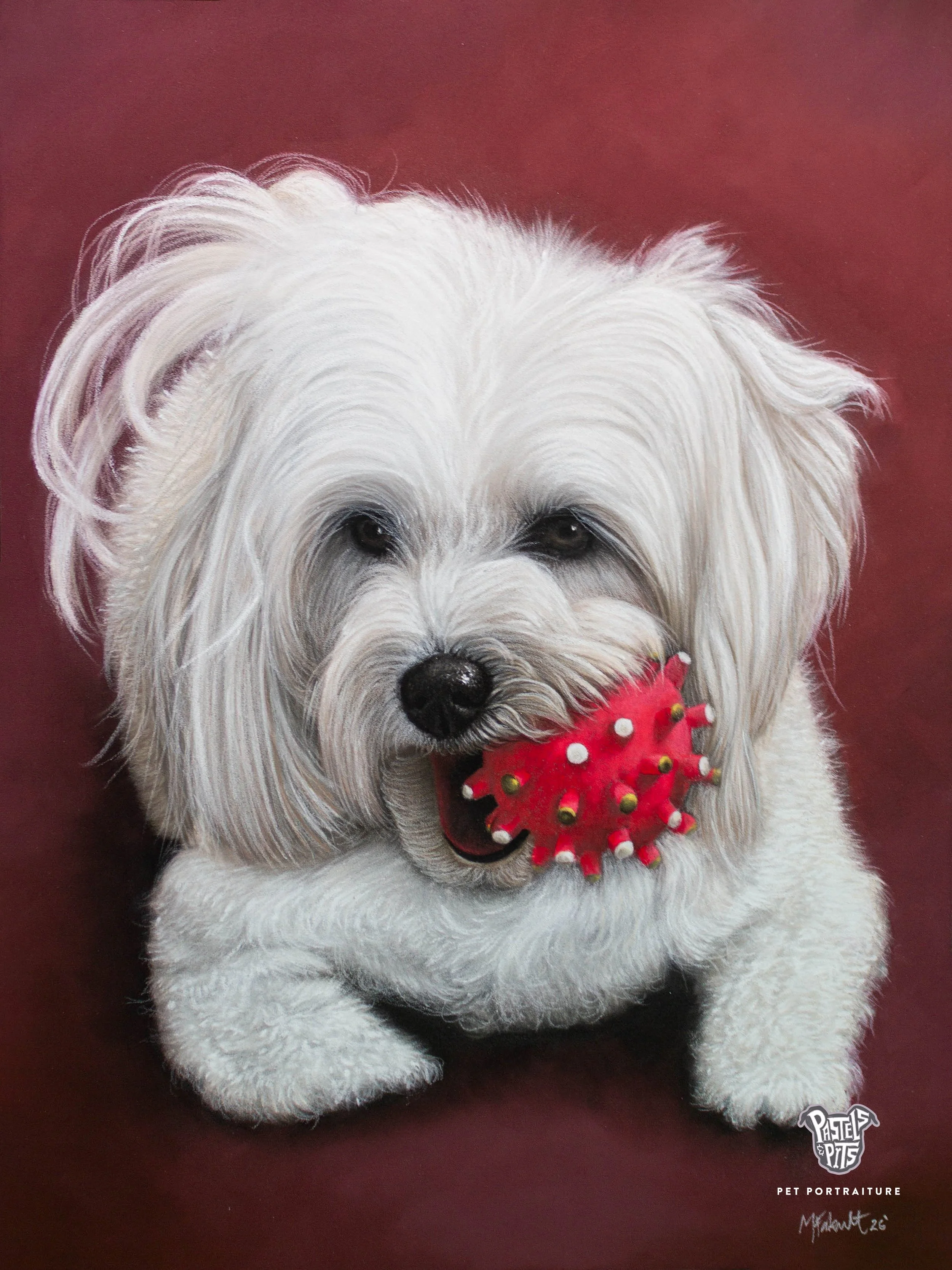 Princess | 12"x16" | 2026