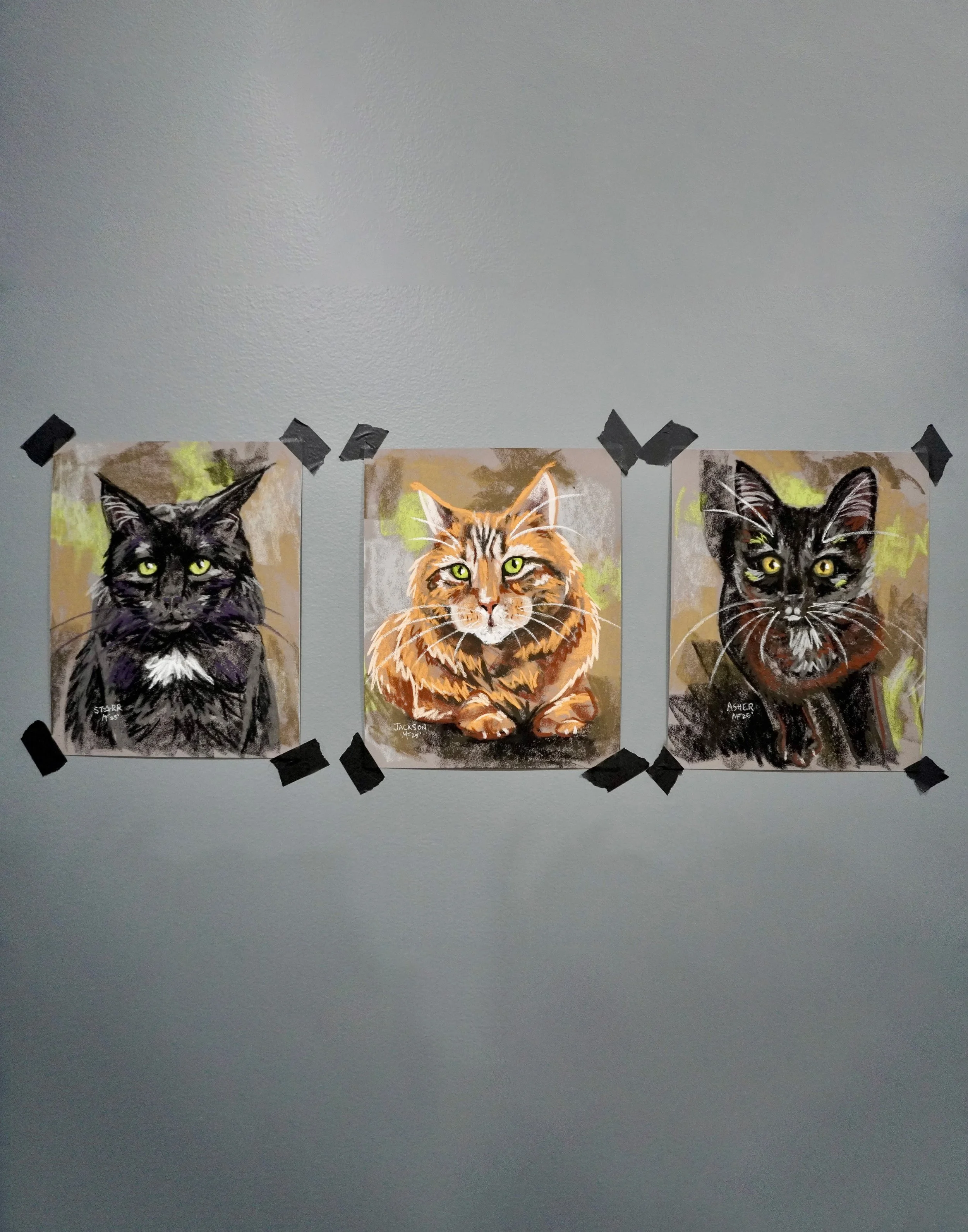 Triple Cats.jpg