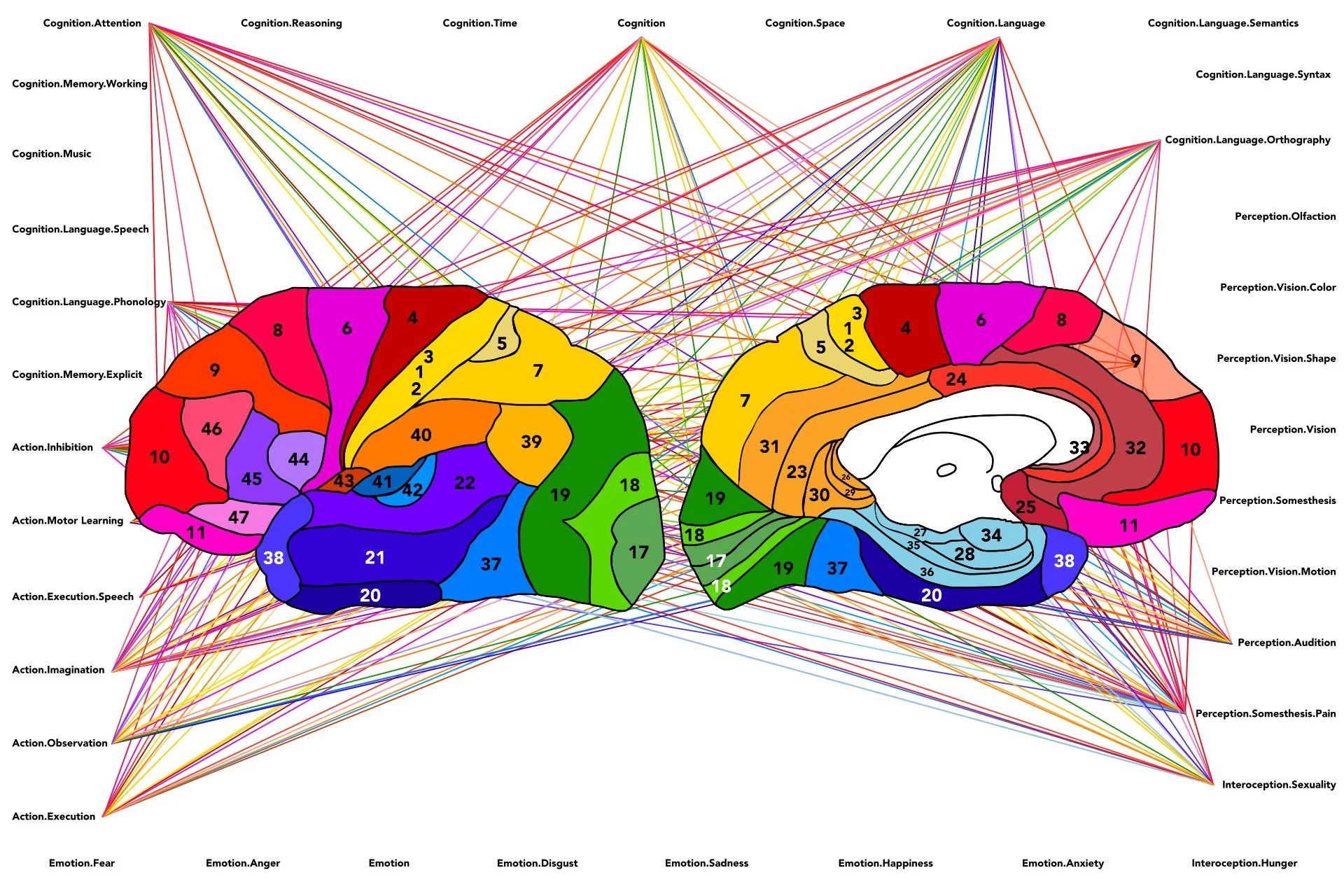 Engaging Your Brain for Lifelong Health: The Power of Neuroplasticity ...
