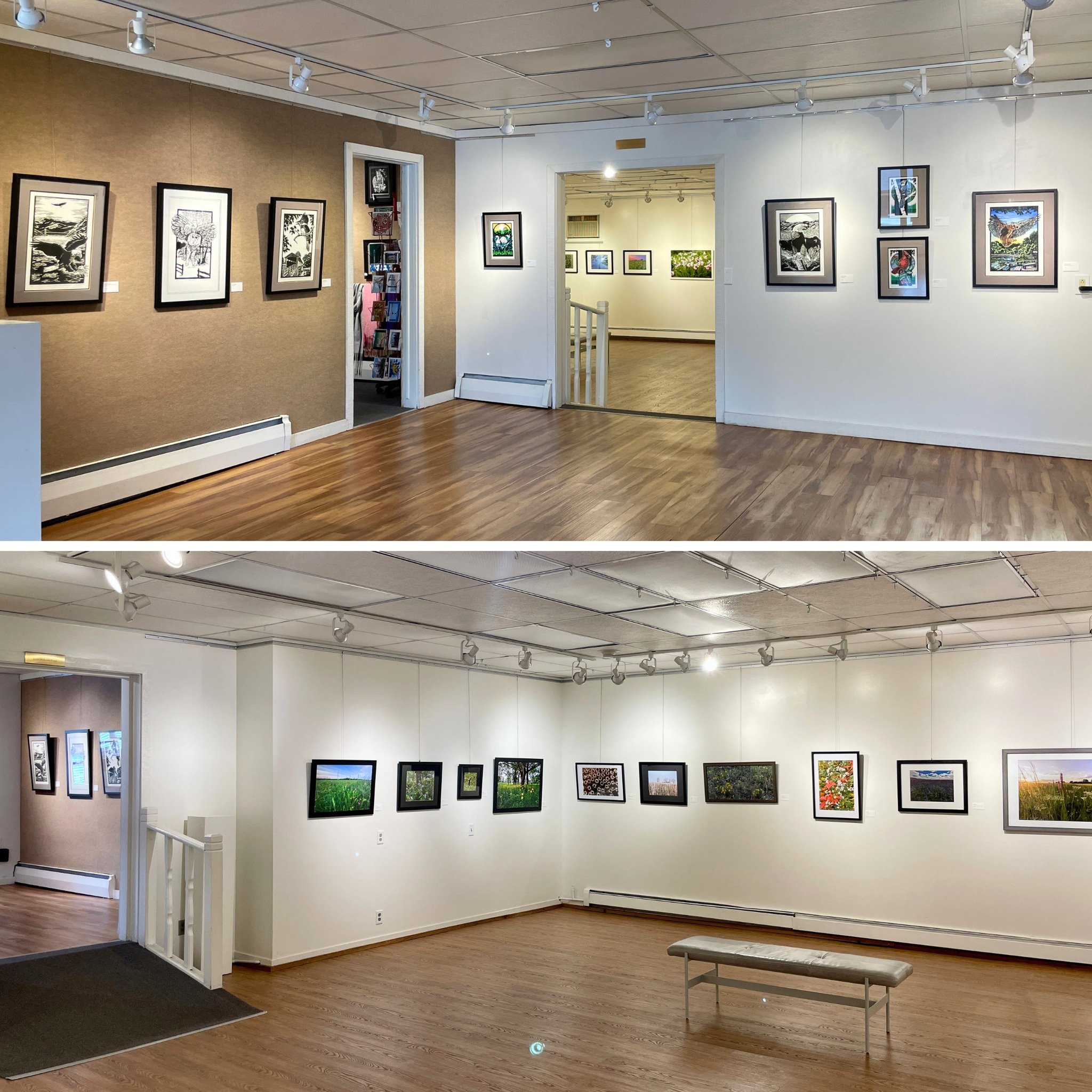 Stop by to view the nature-inspired work in our galleries! Birds of the Hudson: Block Prints by Stephen Rengstorf (upper gallery) &amp; Prairies Big and Small: Photographs by Susan Kirt (lower gallery) on display May 2-29, 2024.

⚪️ Artists&rsquo; Re