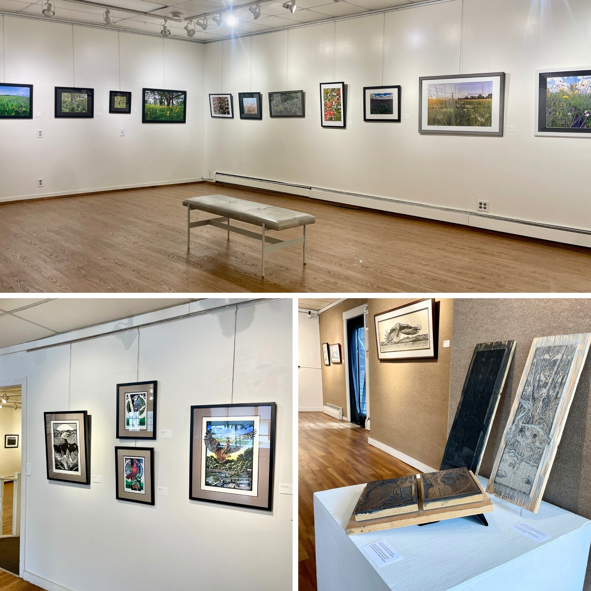 RECEPTION &amp; 3RD FRIDAY REMINDER! CAC's Birds of the Hudson: Block Prints by Stephen Rengstorf + Prairies Big and Small: Photographs by Susan Kirt exhibition, will have an artists reception this Friday, May 17 from 4-7PM. There will be a cash bar,