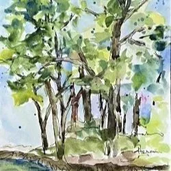 Exploring Watercolor and Ink Workshop/ November 14