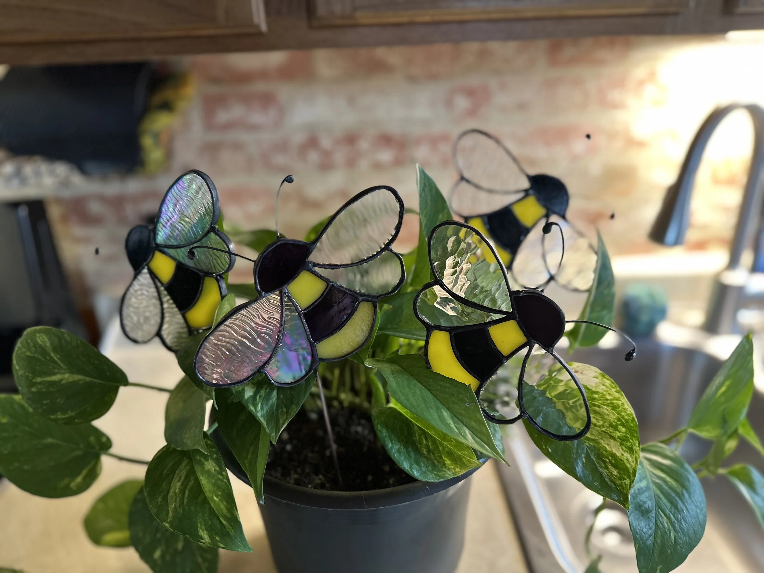 Absolute Beginner Stained Glass: Buzzy Bees / September 25