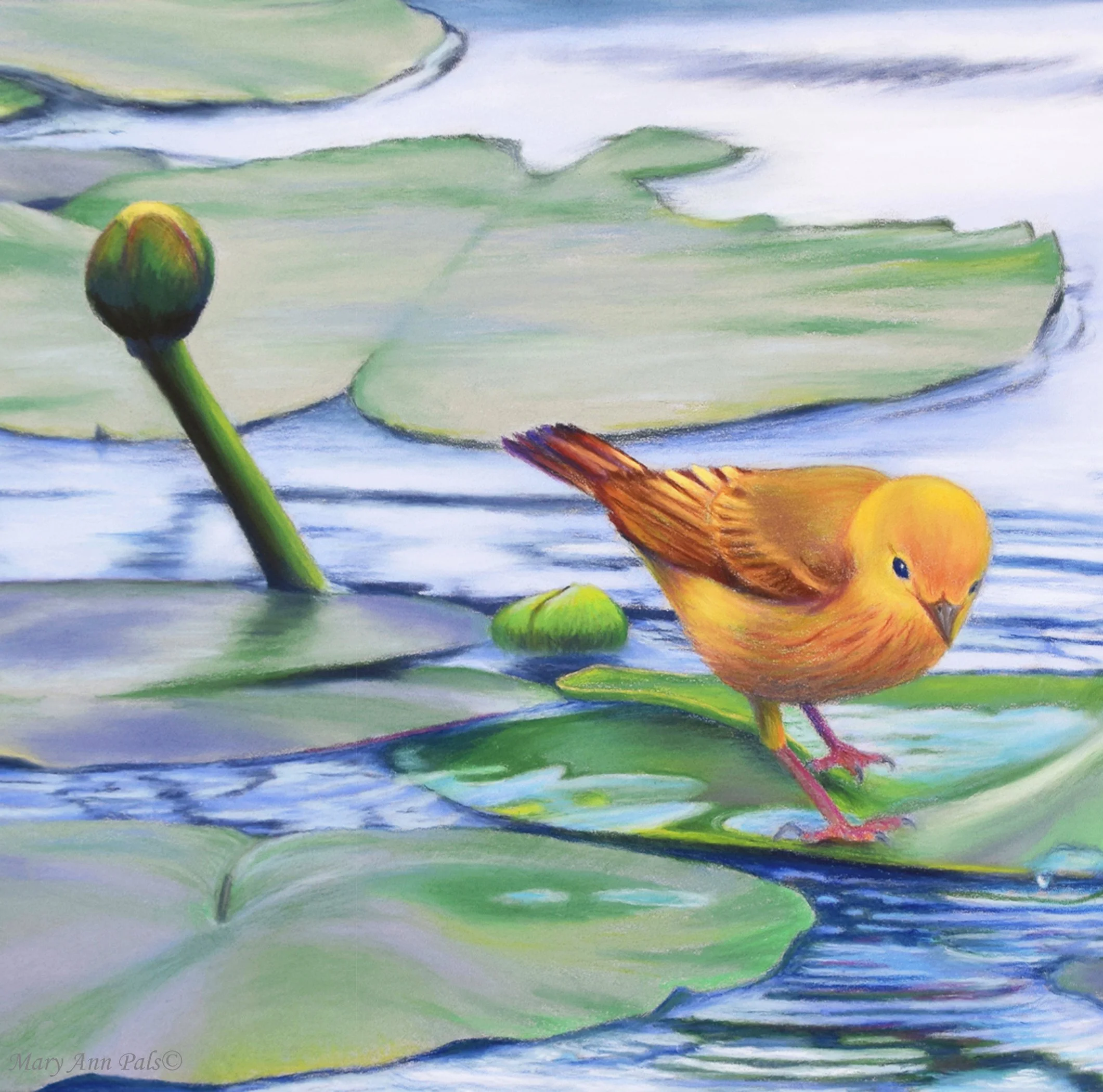 Mark Making with Pastels Workshop / March 28 + 29