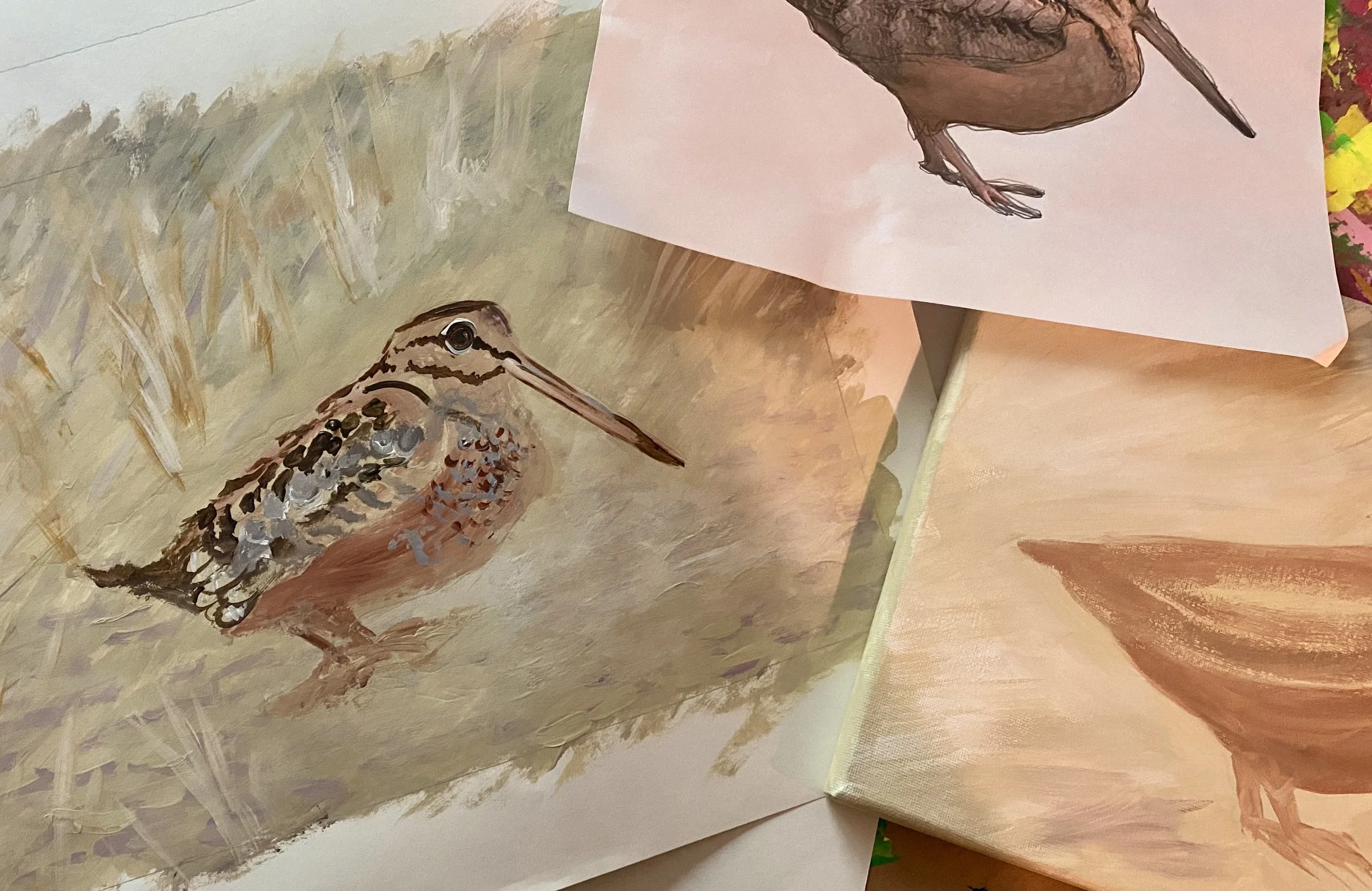 ArtsConnect: The Painted Bird / March 16- April 6