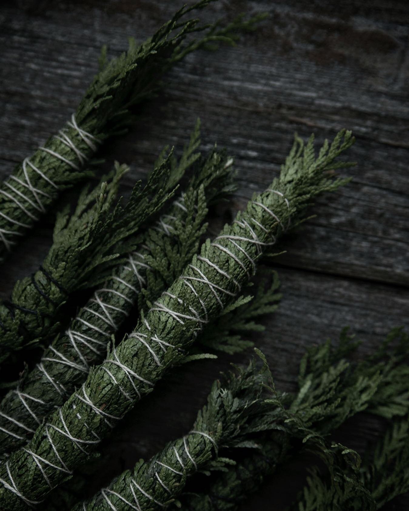 🌲 Cedar smoke wands are back in stock! 🔥 Burning cedar is great for protection and purification but can also help with healing, as well as wealth and prosperity. 🌲

 

 

 

 

 

 

 

 

 

 
⠀⠀⠀⠀⠀⠀⠀⠀⠀⠀⠀⠀⁣⁣

#cedar #pnw #cedarwood #pine #evergre