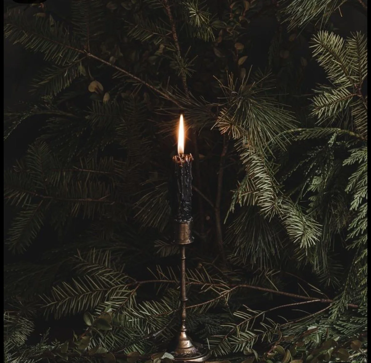 8 Weeks of Practical Herbalism