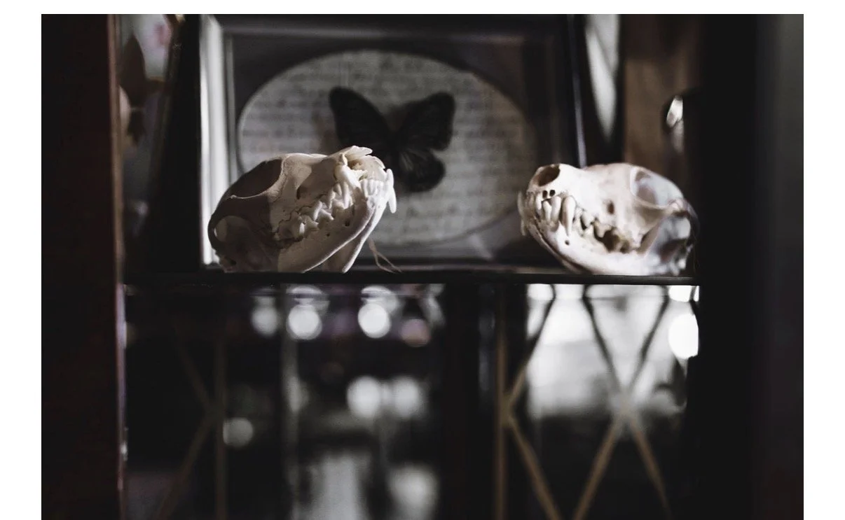 Painting with Skulls and Bones