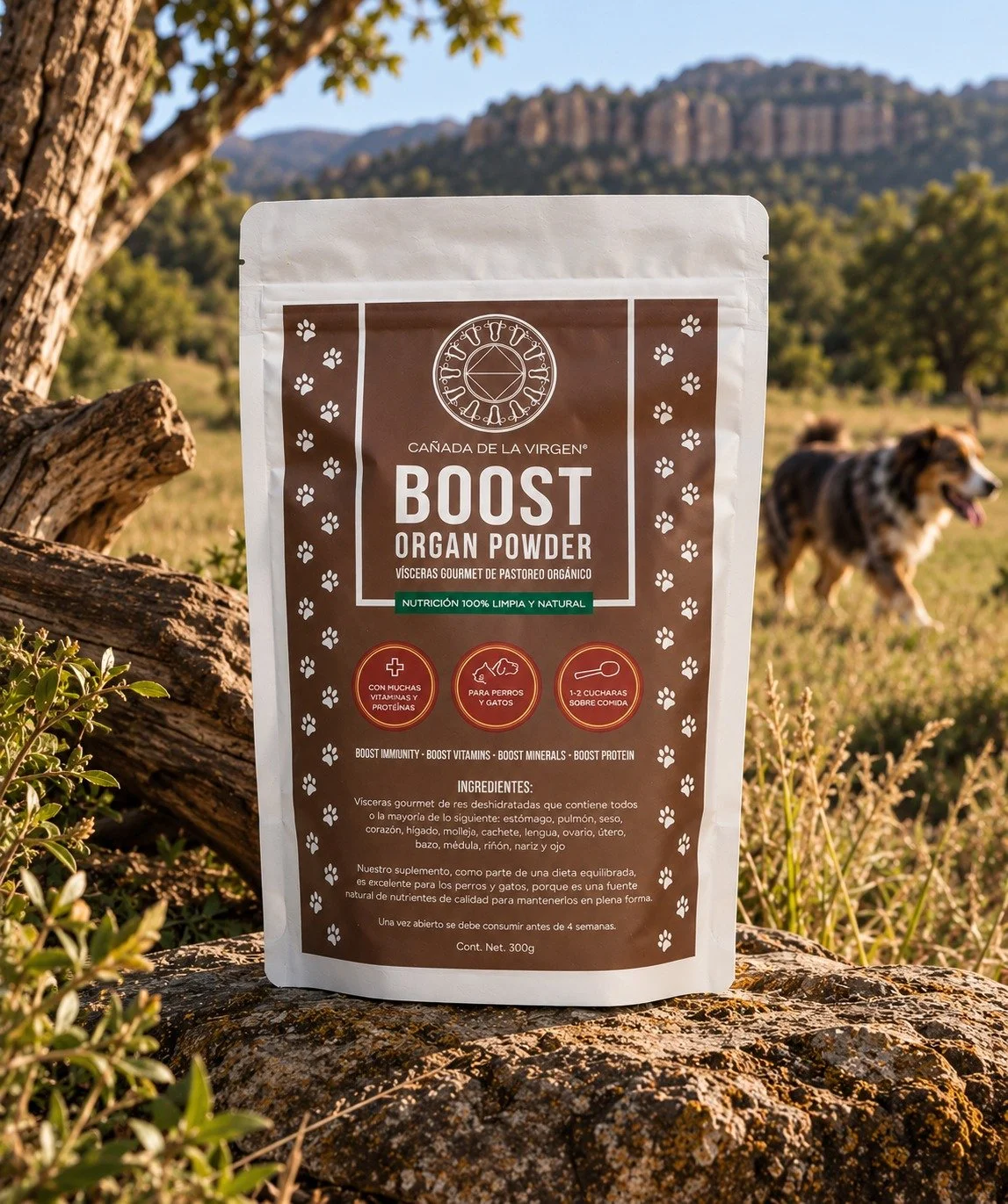 Boost Organ Powder para Mascotas