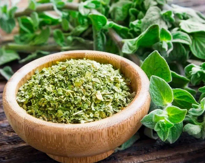 oregano.jpg