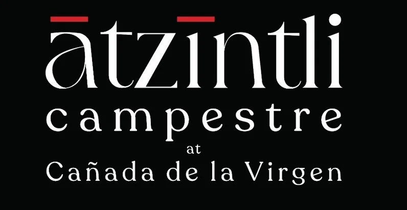 Atzintli Campestre Enero Boleto  NIÑOS (Menores de 12 años)