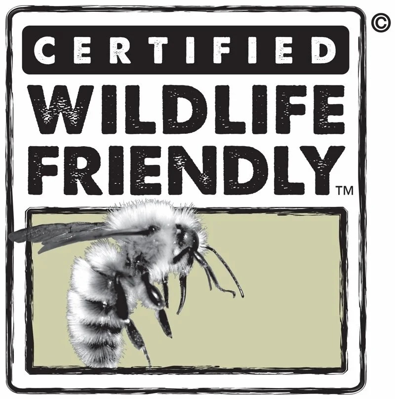 WLF ABEJA.jpg