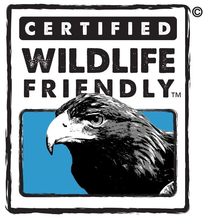 wlf aguila.jpg