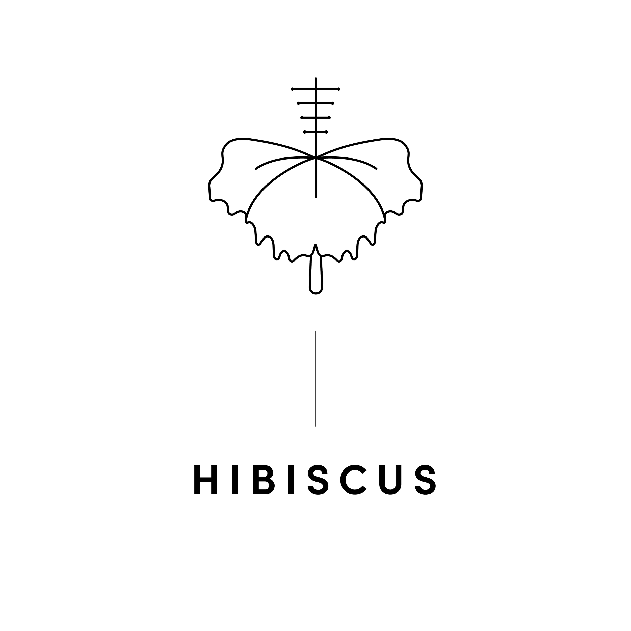 HIBISCUS.png