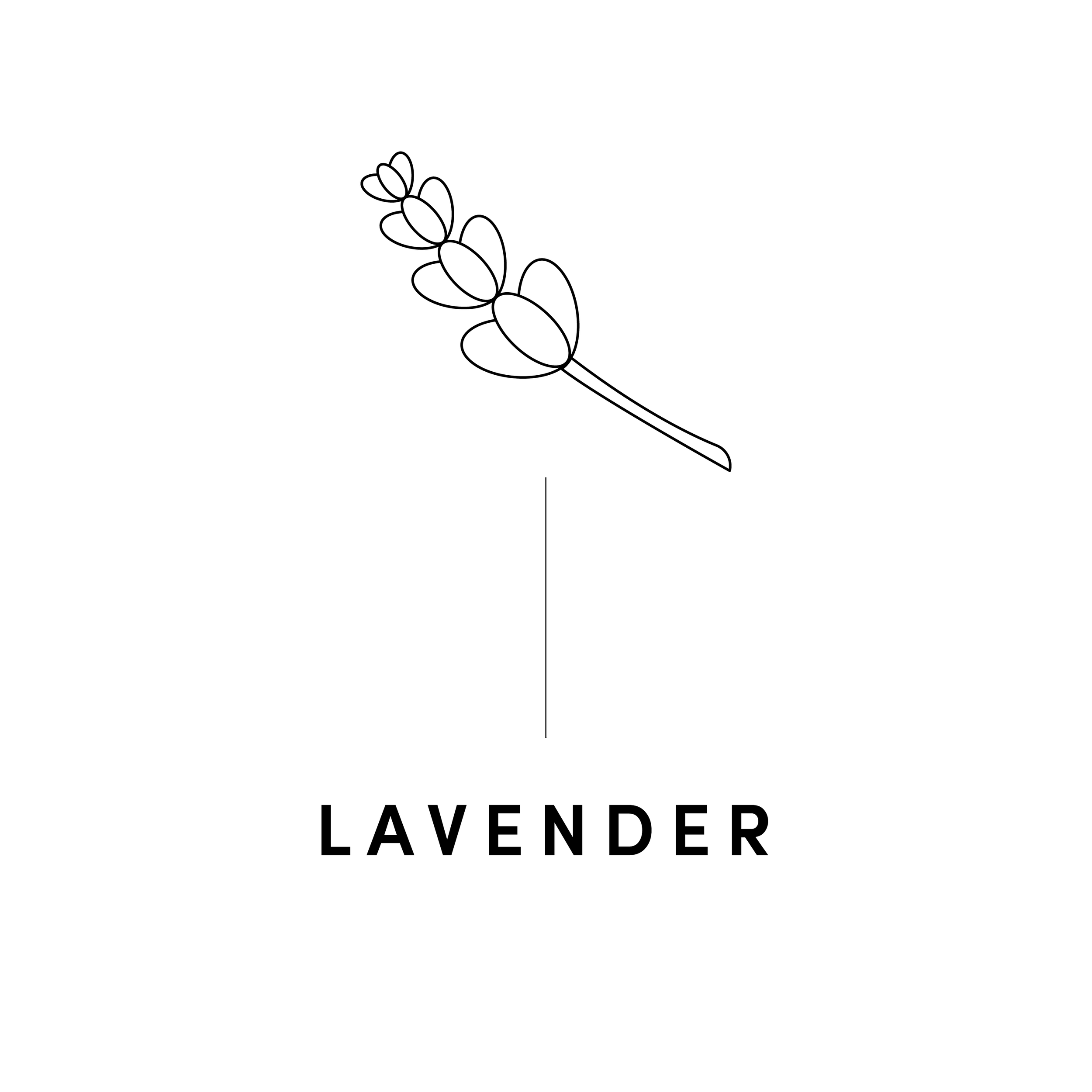 LAVENDER.png