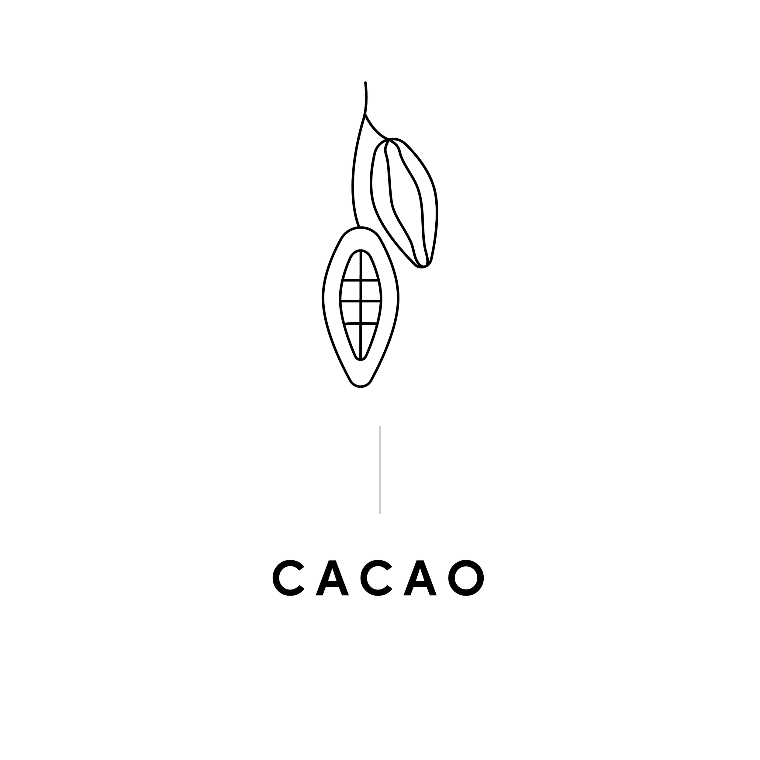 CACAO.png
