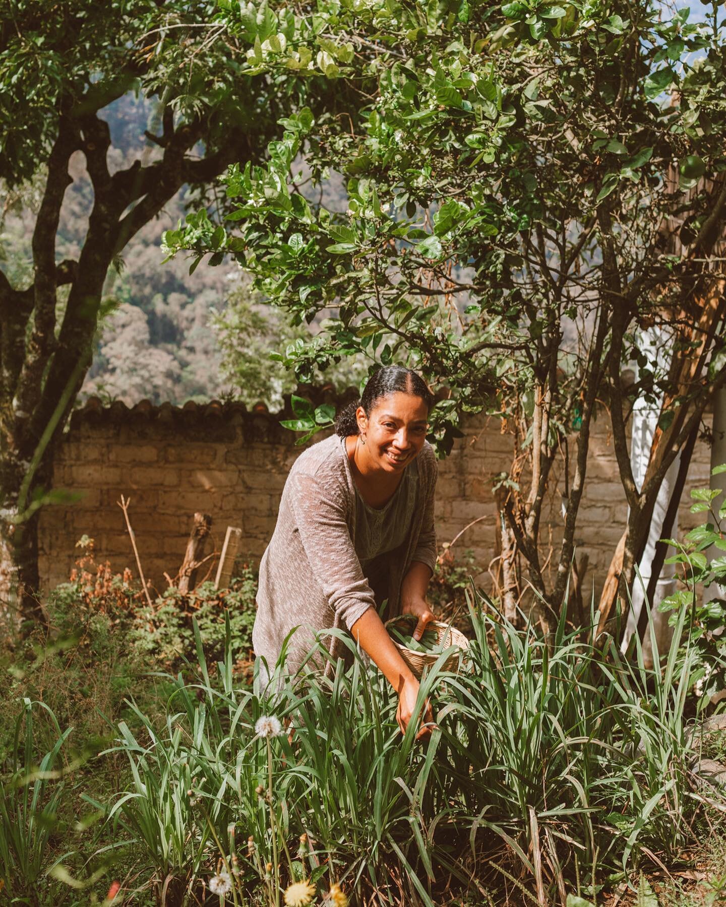 Lucy Ashman is perhaps the most &quot;down-to-earth&quot; founder there is (but she'll never admit to it). She is a vegan mother, raising her kids in a zero-waste household in the mountains of San Cristobal el Alto. She cares deeply about fostering a