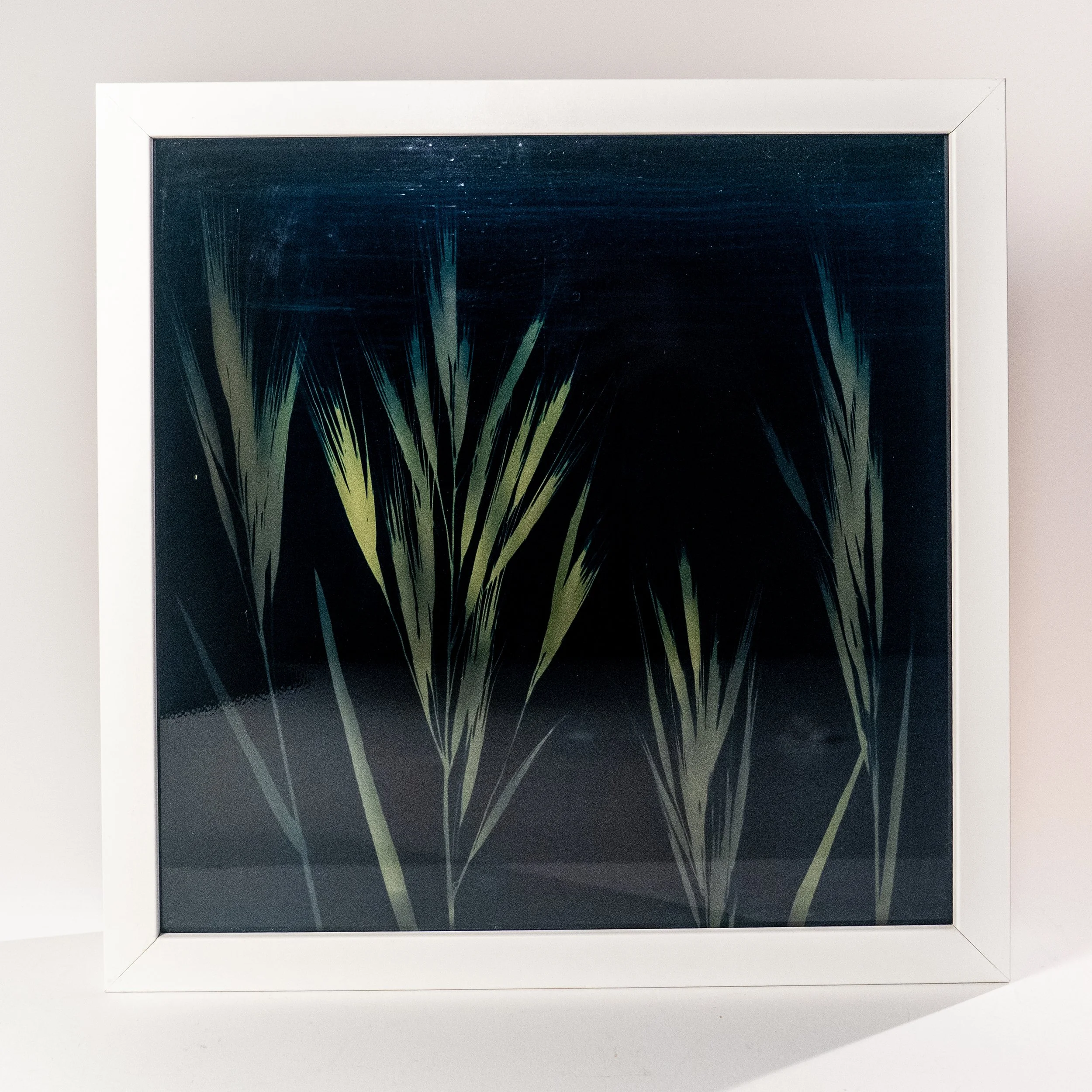 Glass Cyanotype, 10.5" x 10.5", (2024)