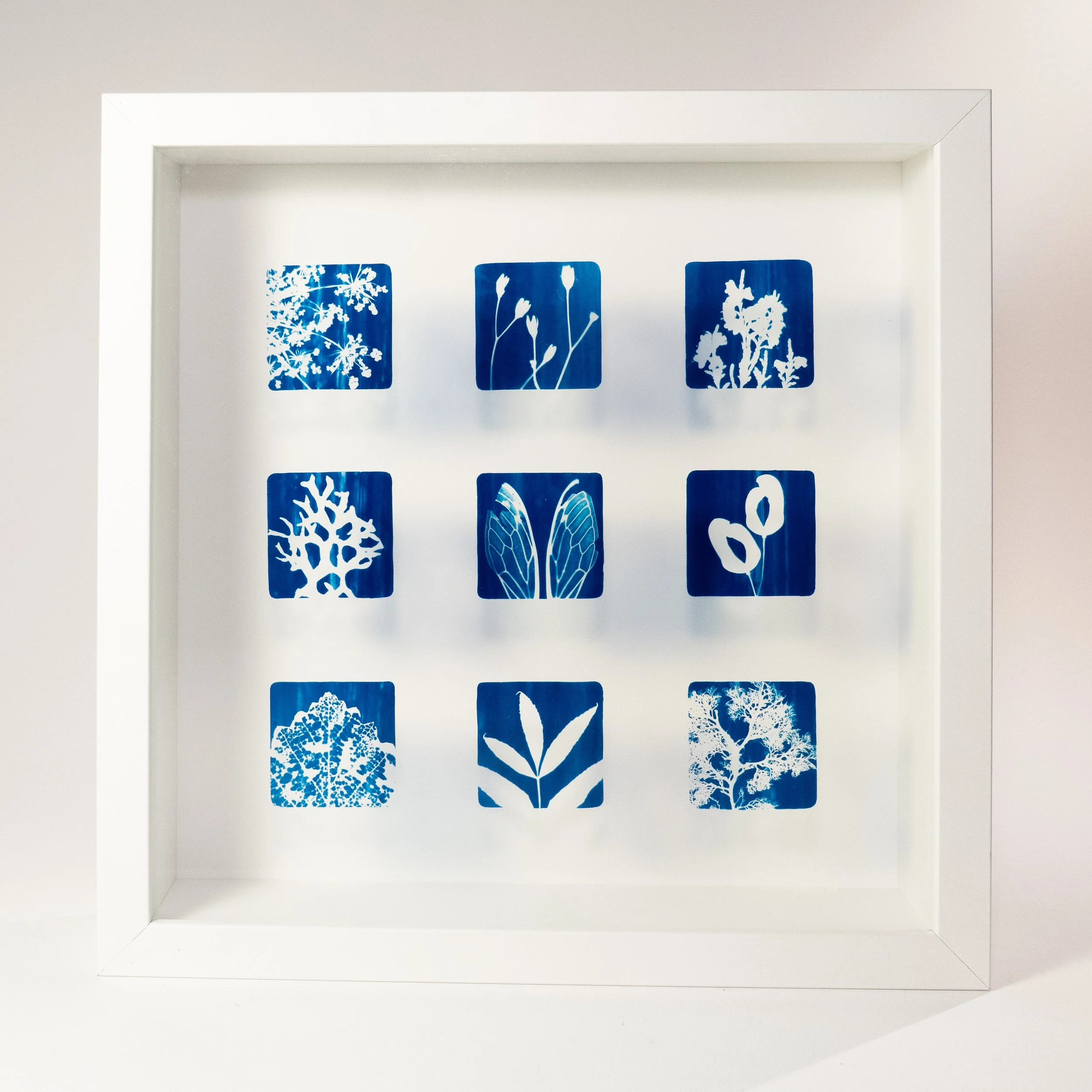Glass Cyanotype, 10.5" x 10.5", (2024)