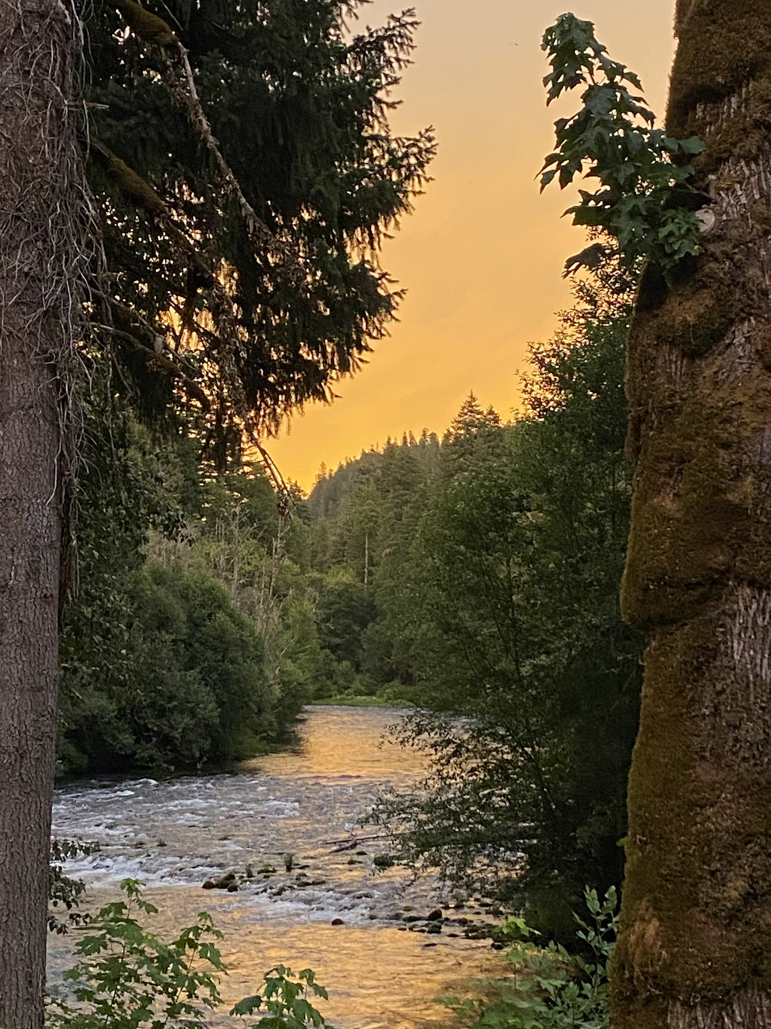 Summer Evening on the River