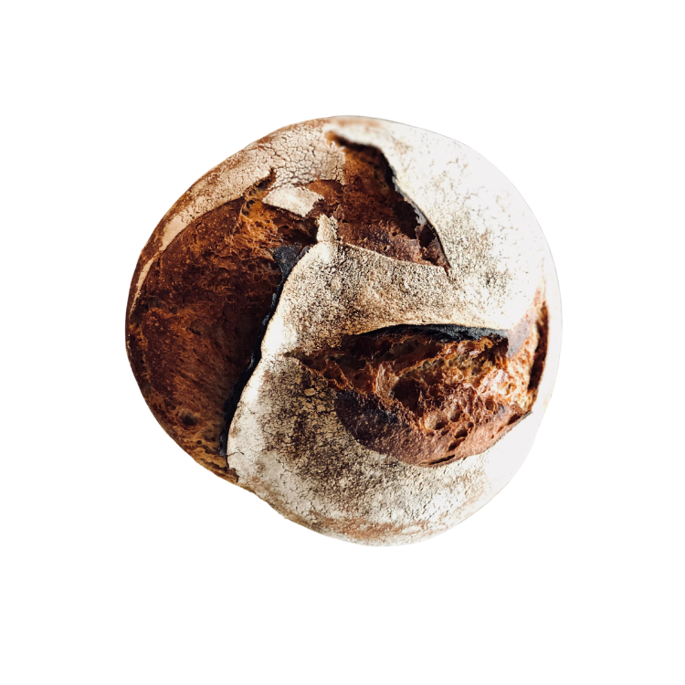 Sourdough BreadOur daily breads begin with freshly milled heritage wheat, local sea salt, filtered water, and an heirloom sour dough starter. Freshly baked by our baker-in-residence. Coming soon.Explore Bread