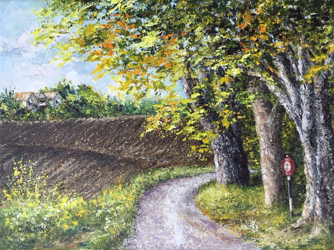 Fields of St. George 12 x 16 Acrylic.jpg