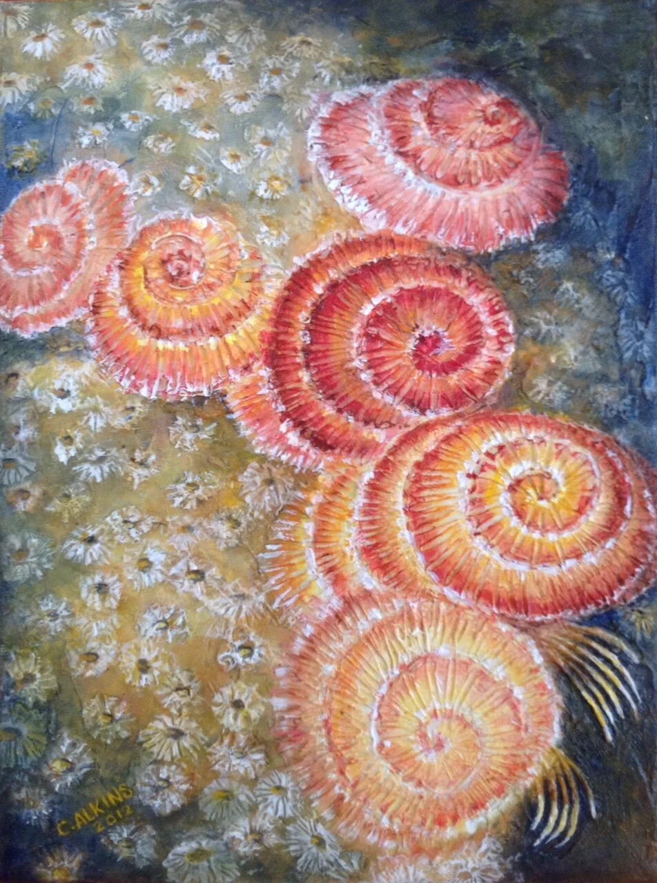 Under The Sea.jpg