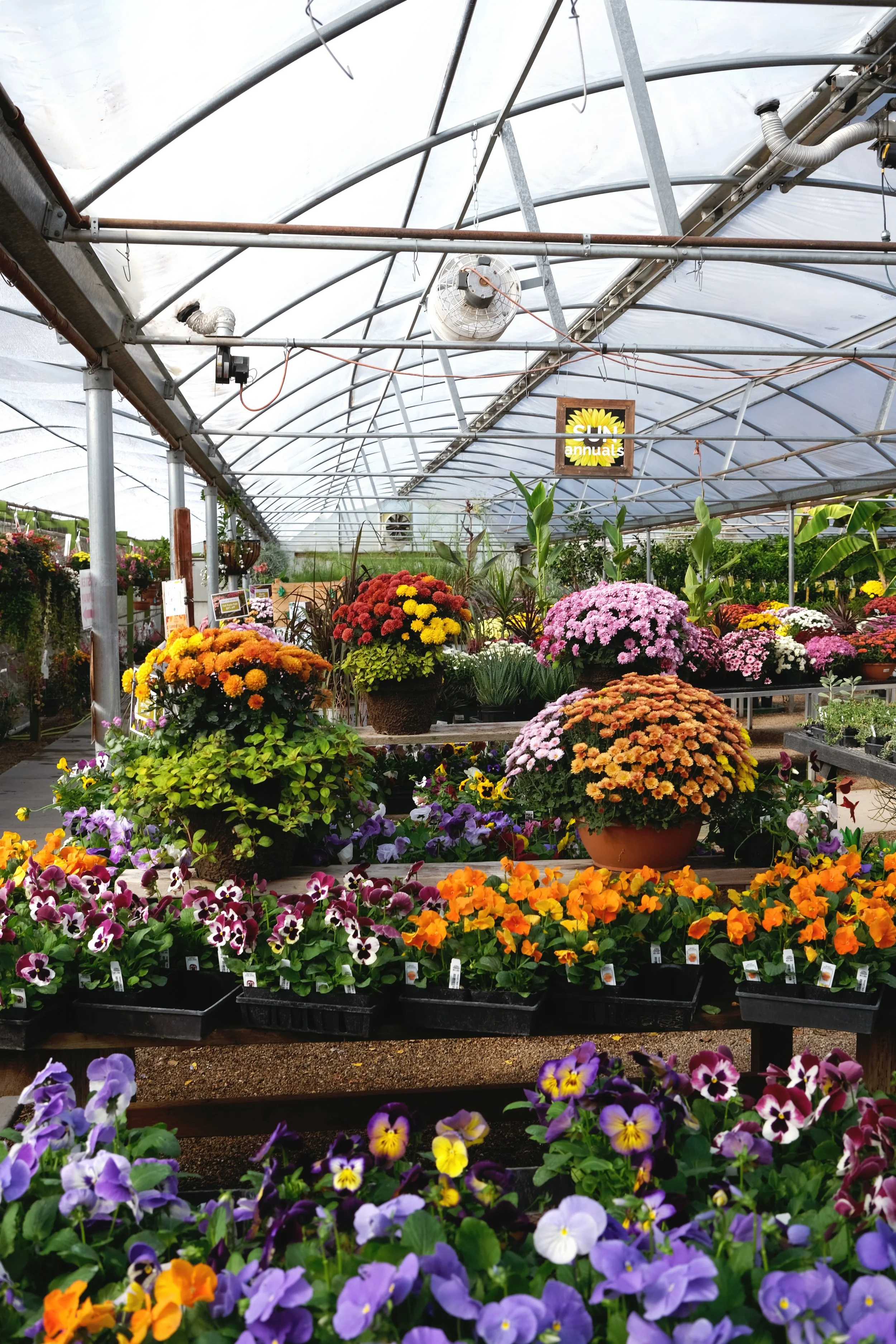 Edwards Greenhouse &