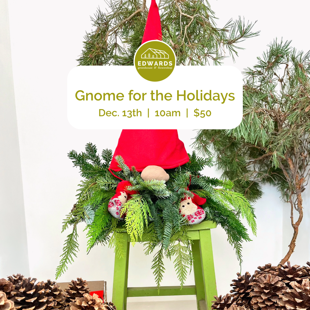 Gnome for the Holidays