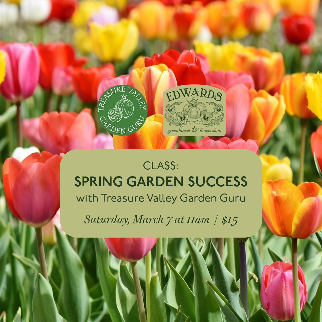Class: Spring Garden Success