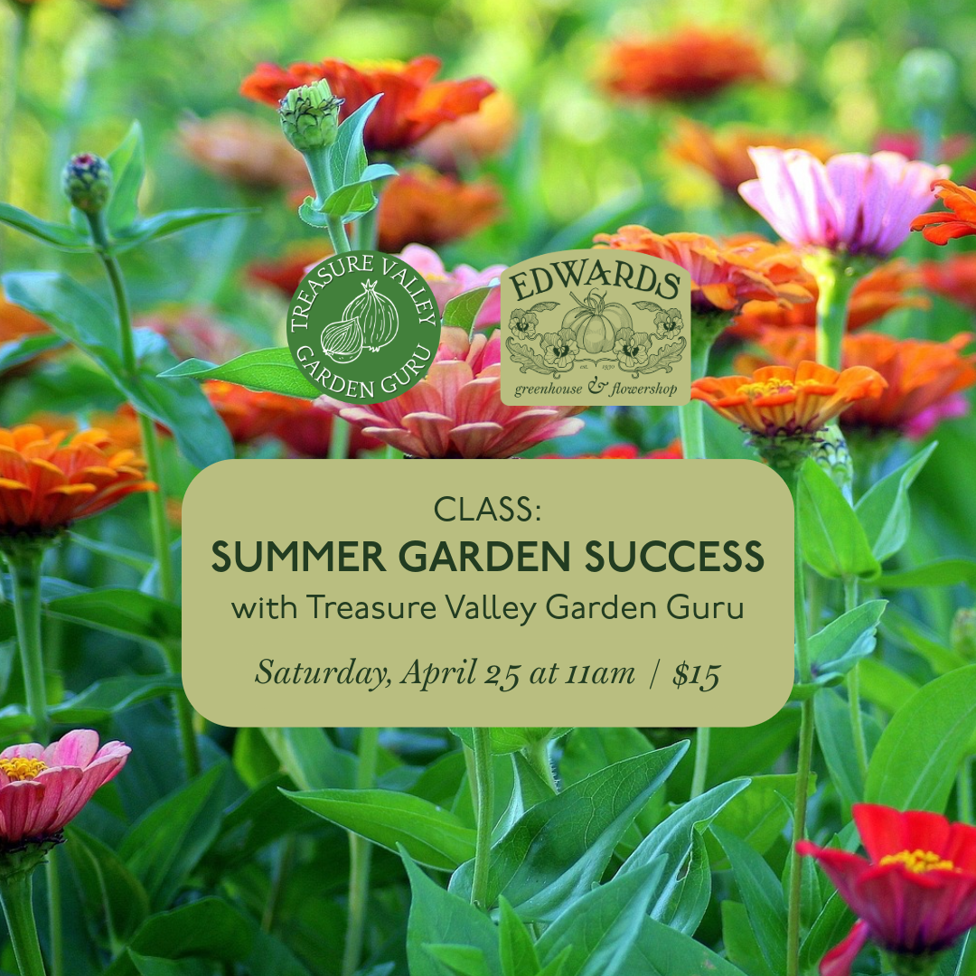 Class: Summer Garden Success