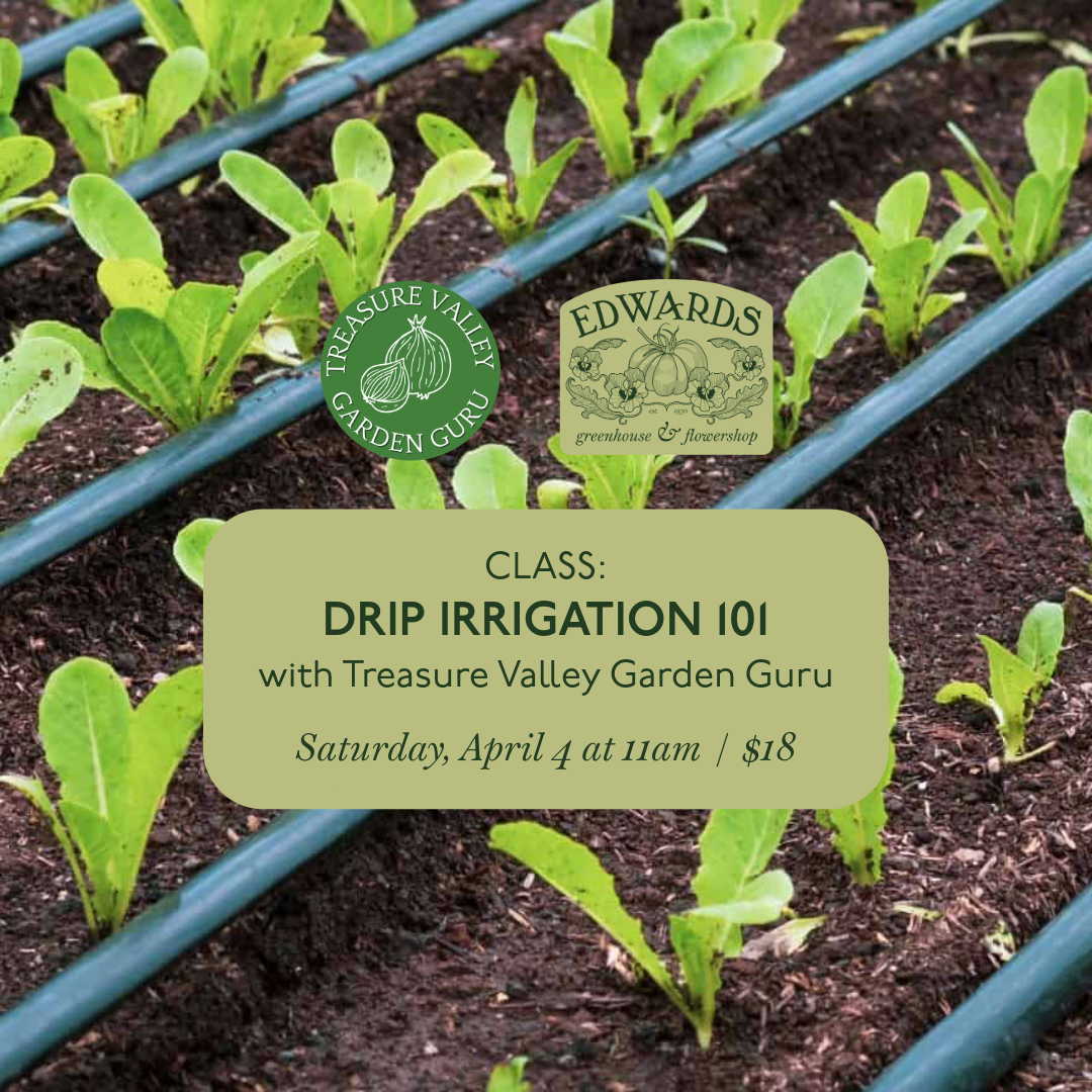 Class: Drip Irrigation 101