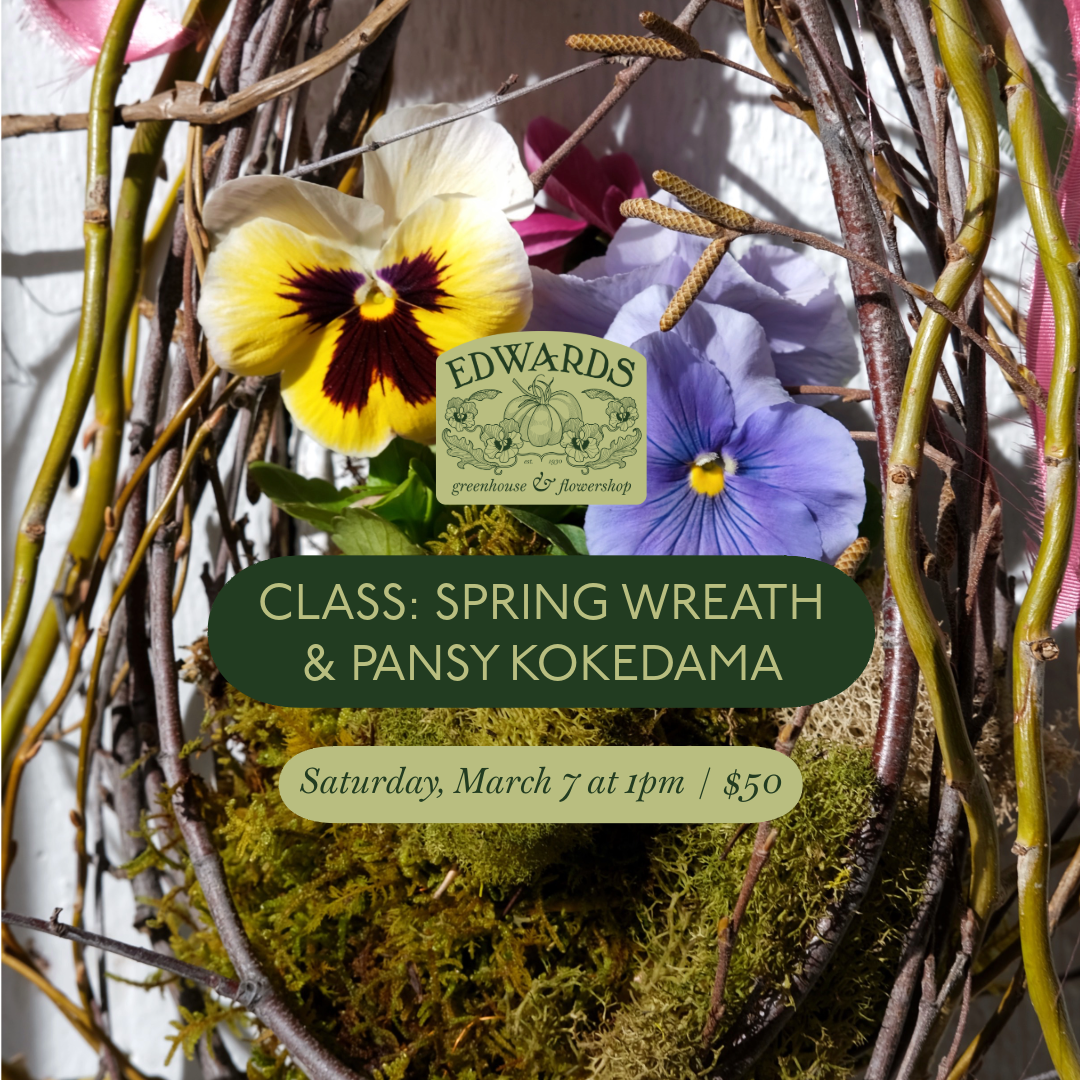 Class: Spring Wreath & Pansy Kokedama