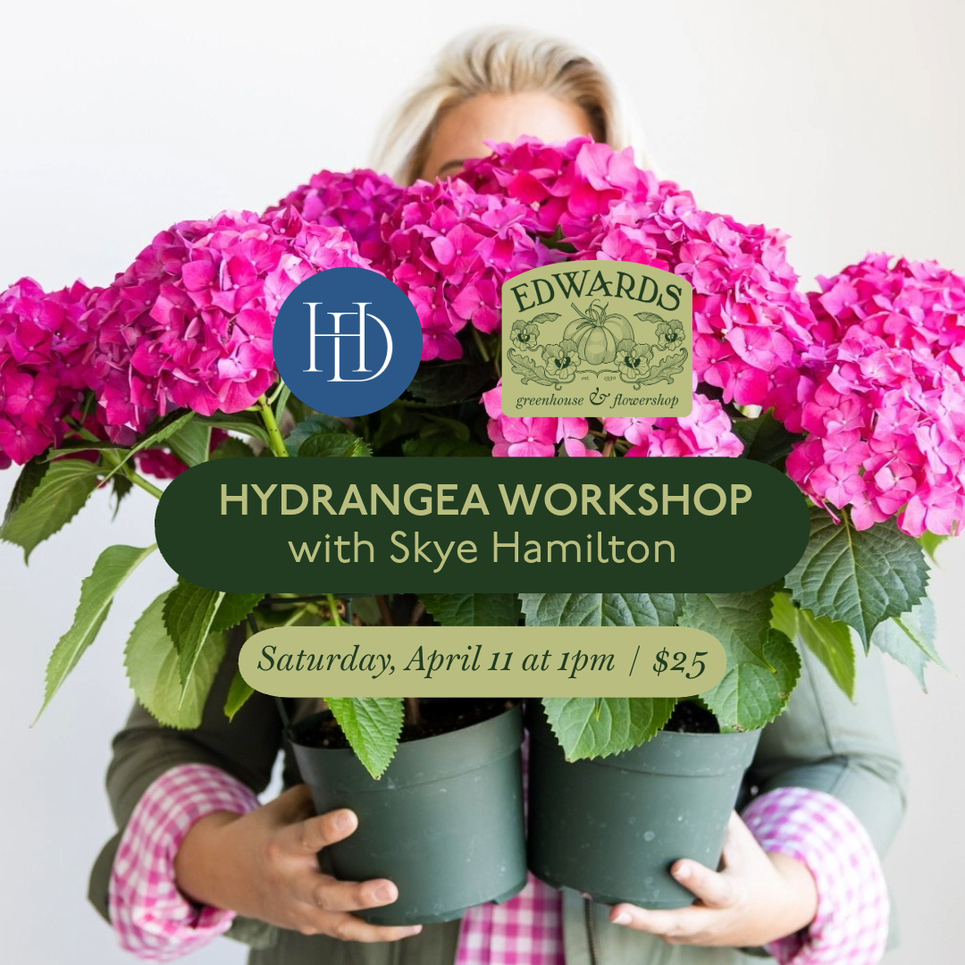 Hydrangea Workshop With Skye Hamilton
