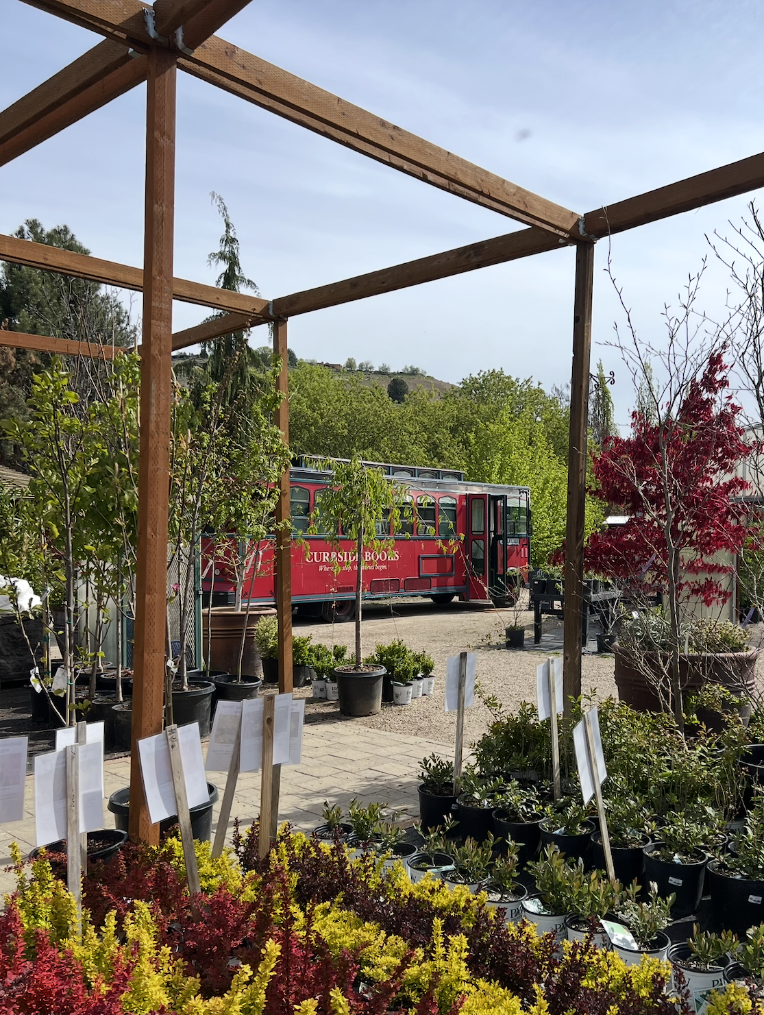 Curbside Books Pop-Up