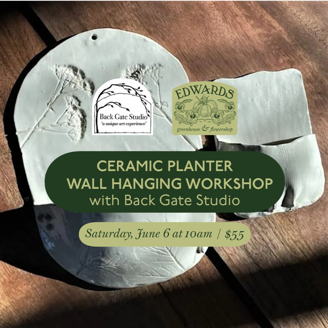 Ceramic Planter Wall Hanging Workshop