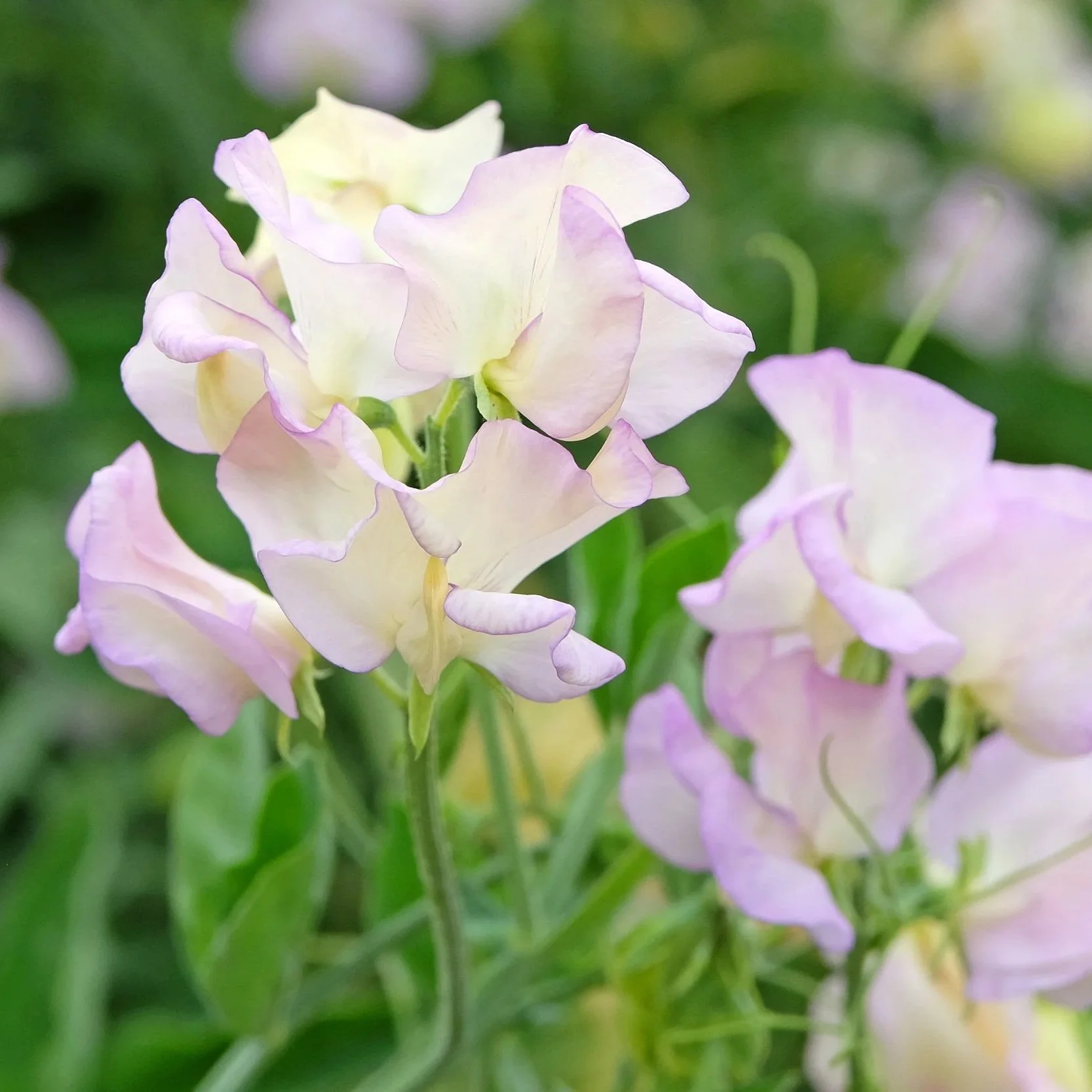 AdobeStock_1136540948.jpg