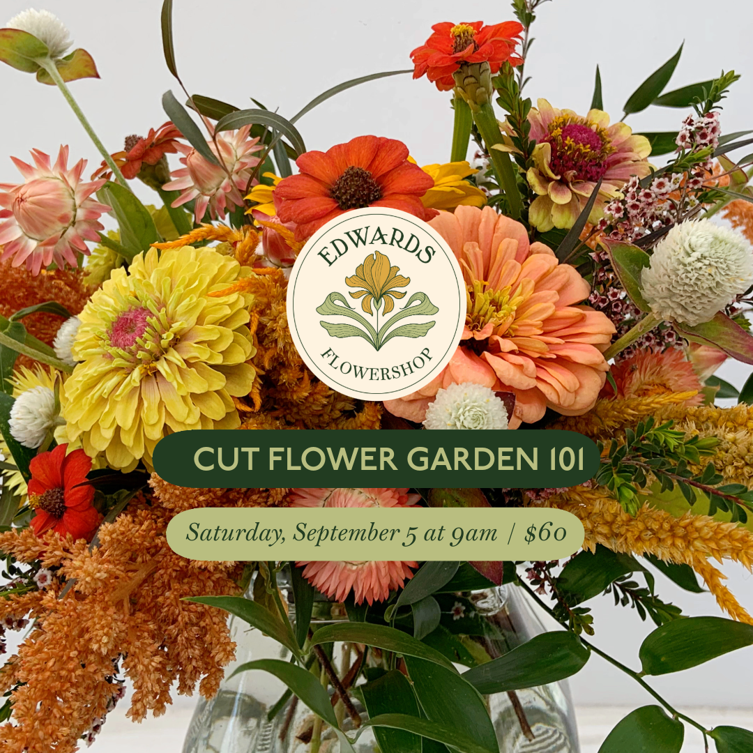 Class: Cut Flower Garden 101