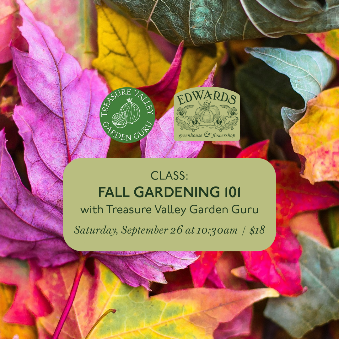 Fall Gardening 101