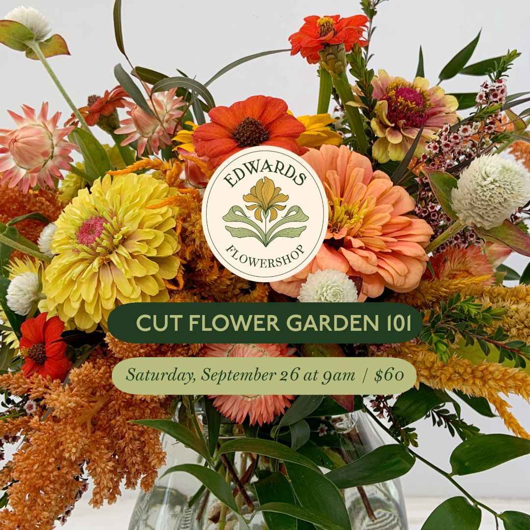 Class: Cut Flower Garden 101