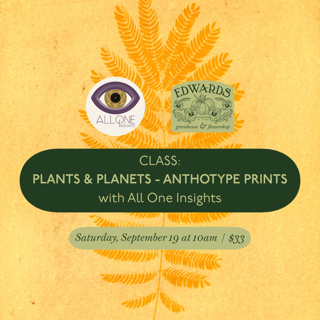 Plant Craft &amp; Planetary Transits: Anthotype Prints
