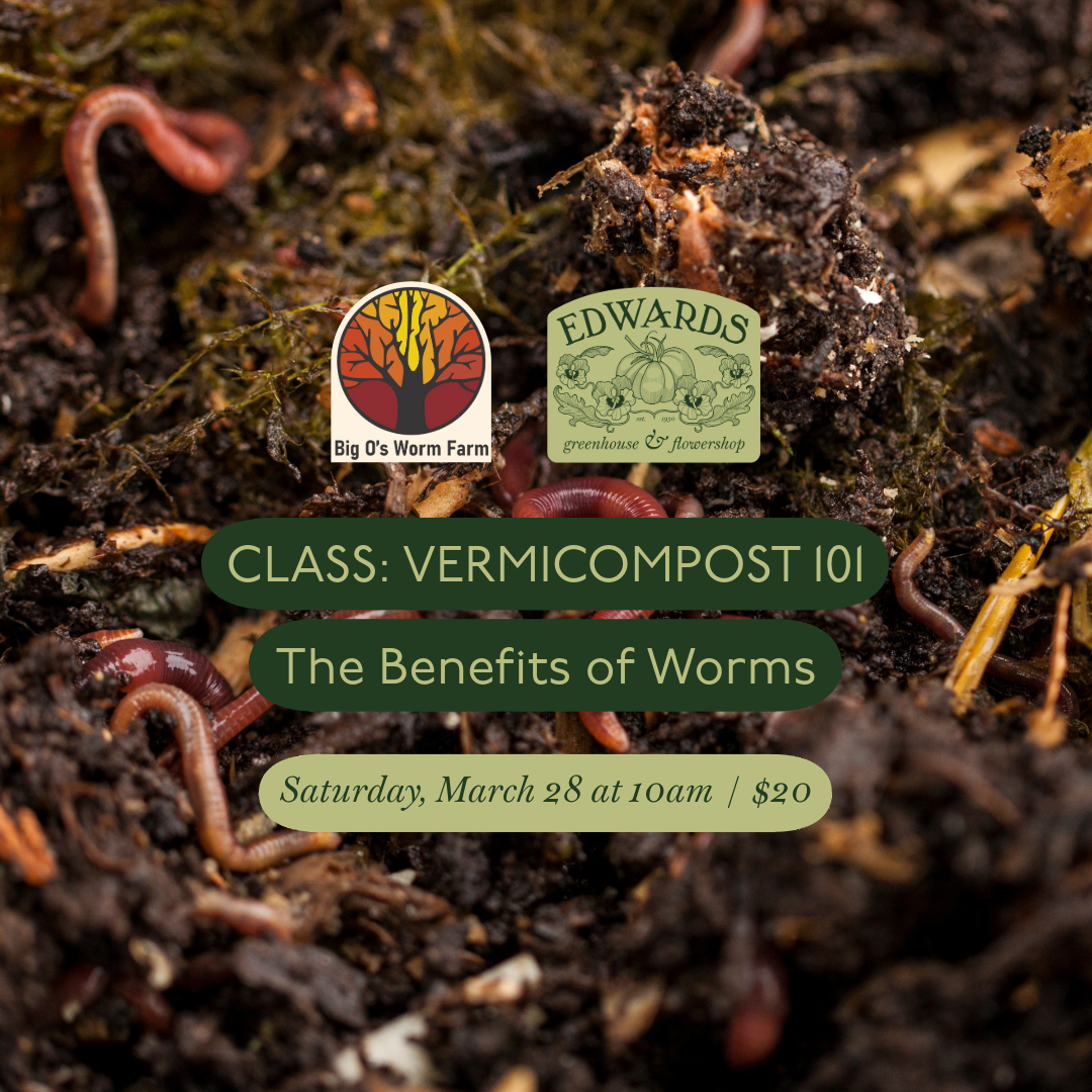 Class: Vermicompost 101: The Benefits of Worms