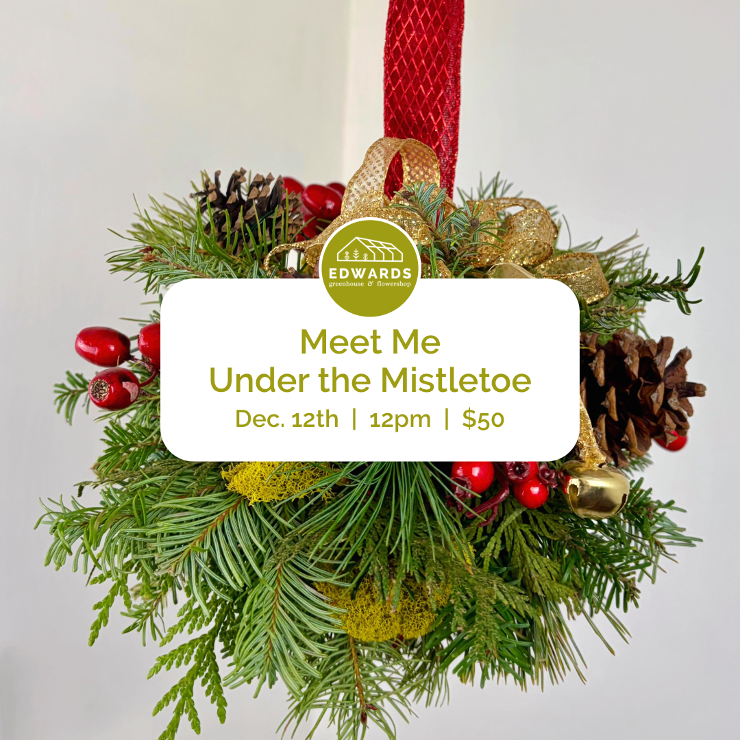 Meet Me Under the Mistletoe