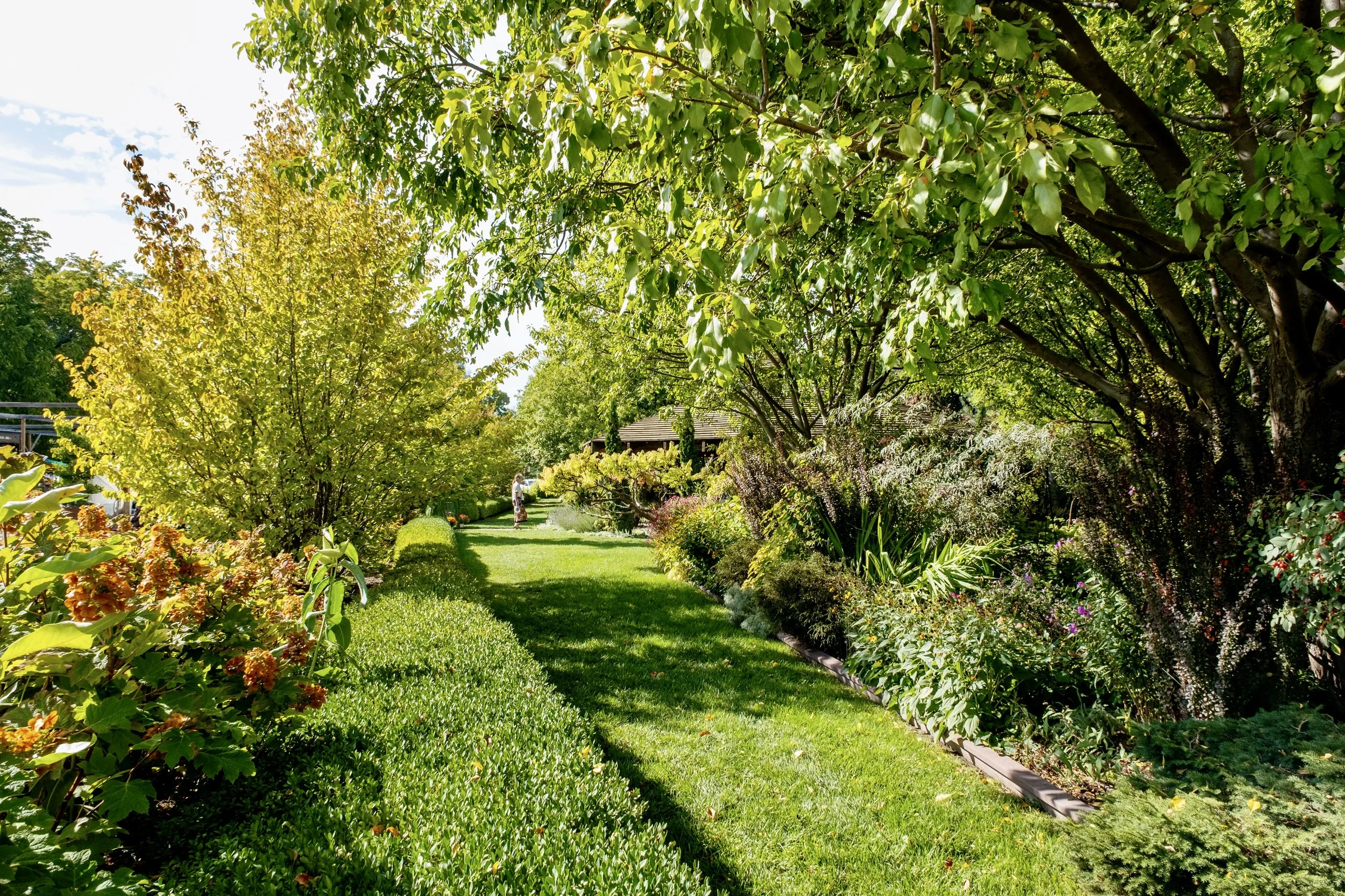 A lush garden path with vibrant green trees and bushes lining both sides, under a bright blue sky with scattered clouds.
