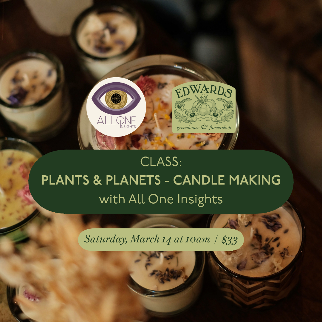 Class: Plants &amp; Planets - Candle Making (Sold Out)