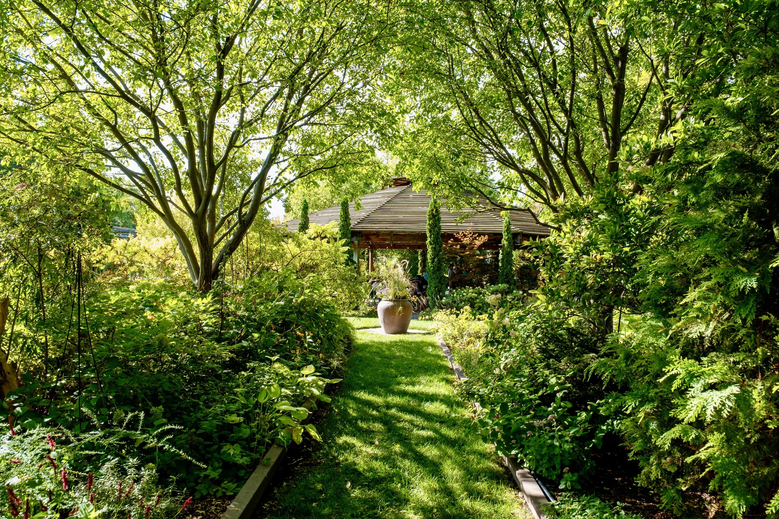 A lush green garden with a pathway leading to a wooden gazebo, surrounded by trees and various plants, with sunlight filtering through the leaves.