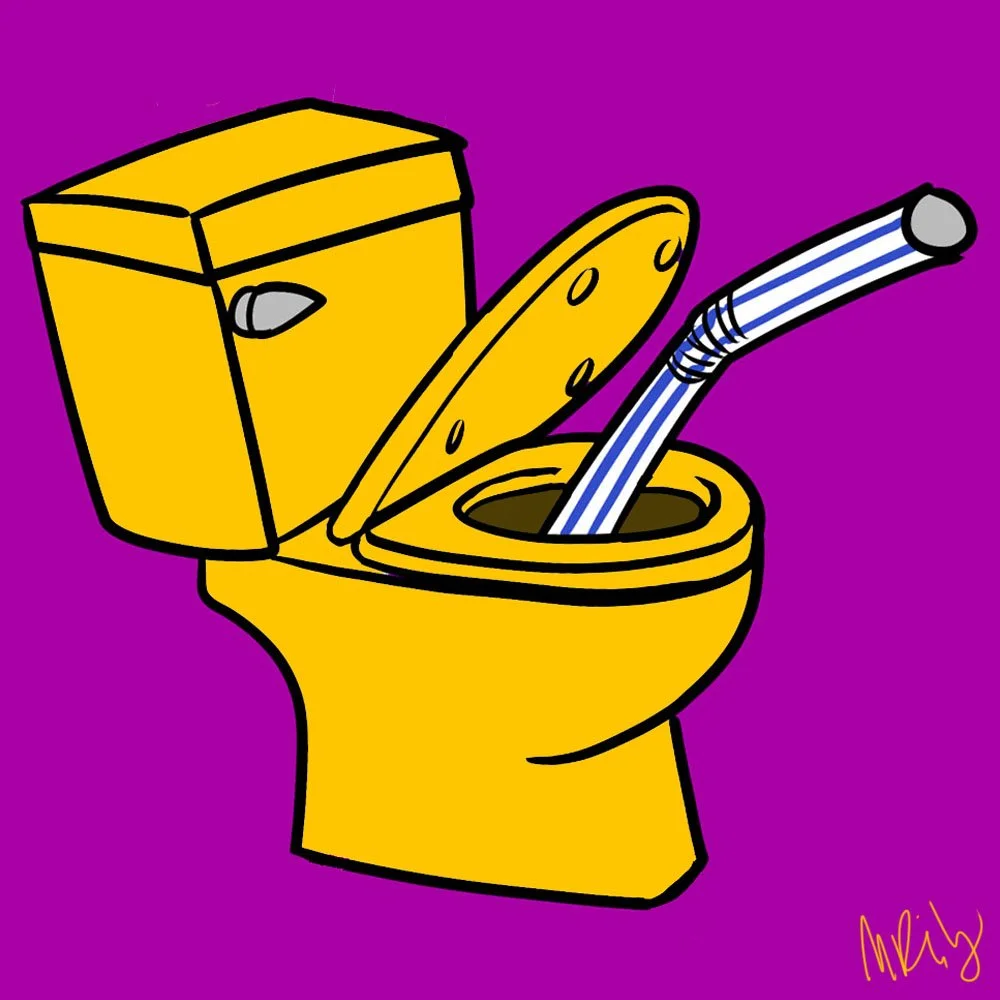 toilet.jpg