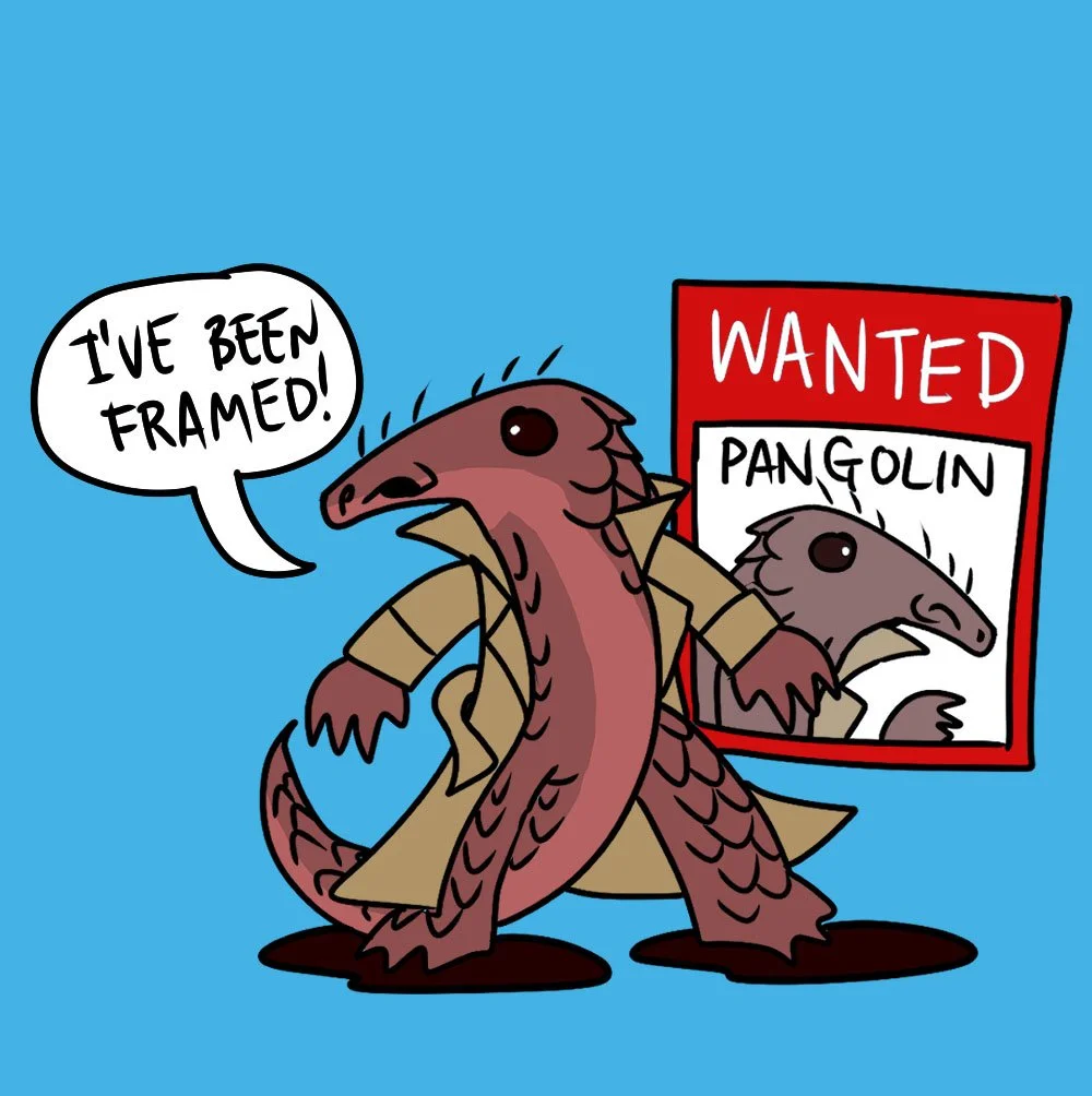 pangolin2.jpg