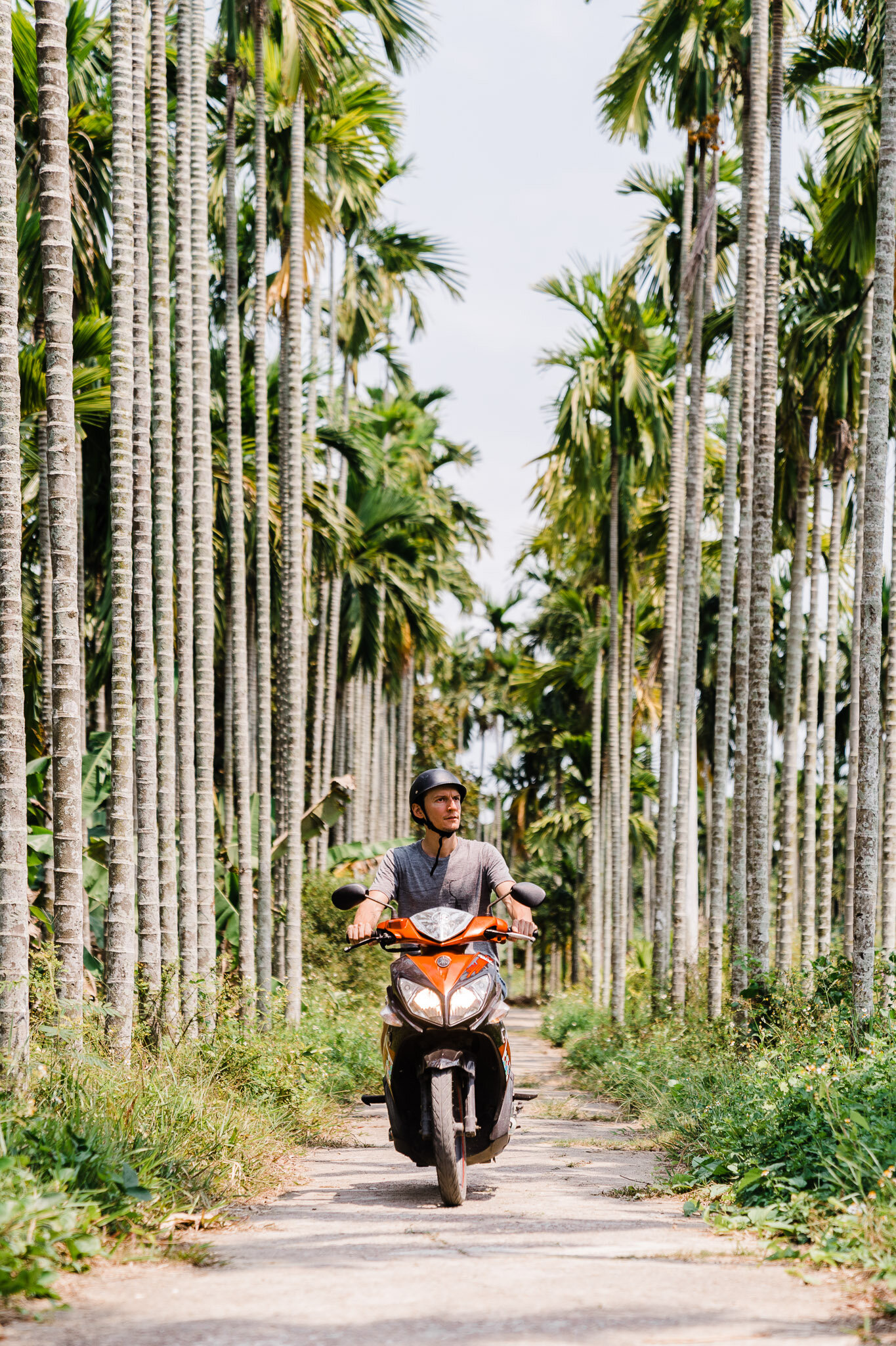 alex mj blogue permis international à Bali route Alex scooter palmiers.jpg